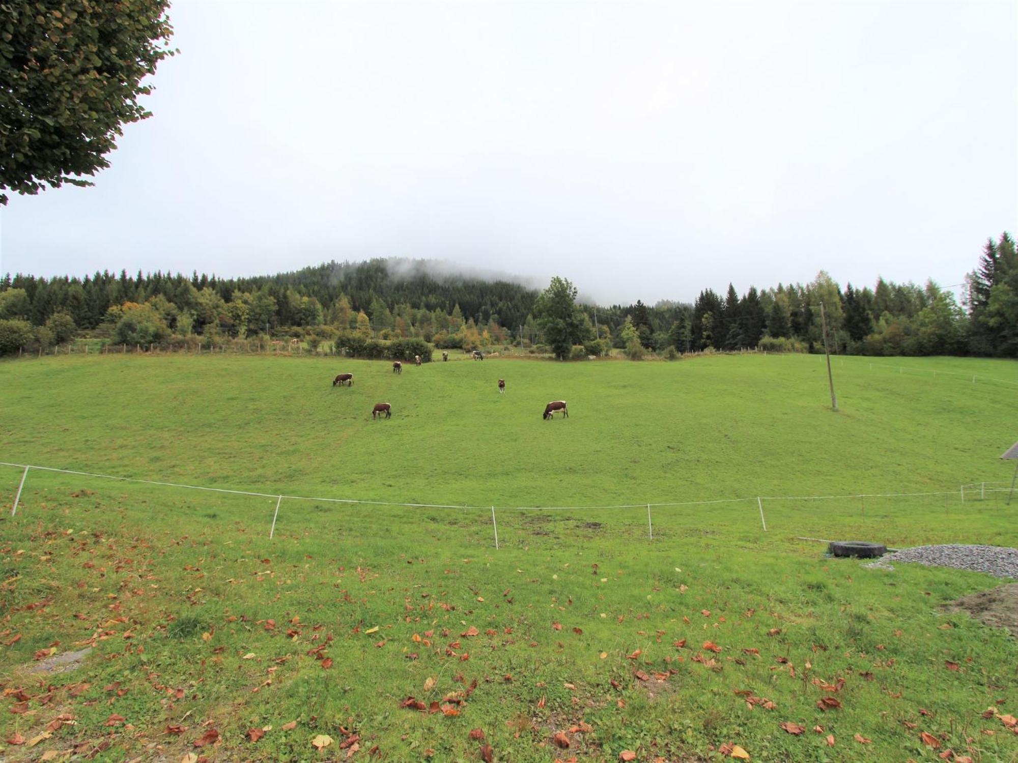 Characterful Old Farmhouse With 4 Apartments In Fresach Carinthia With Garden מראה חיצוני תמונה